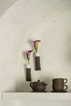 Load image into Gallery viewer, Wall Bud Vase