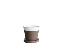 Load image into Gallery viewer, ar-img