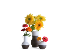 Load image into Gallery viewer, The Vase Bundle
