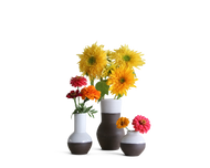Vase Bundle