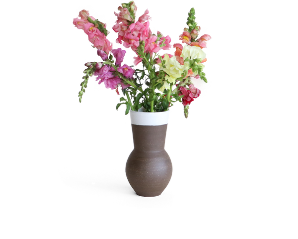 autoflower yield per plant High Yield Autoflowers – Premium Cultivars main image 1